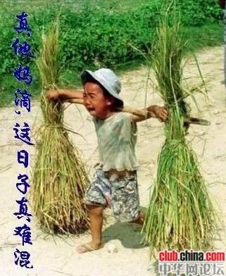 文章附图